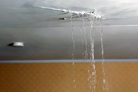 Toilet-leaking-water-damage.jpg
